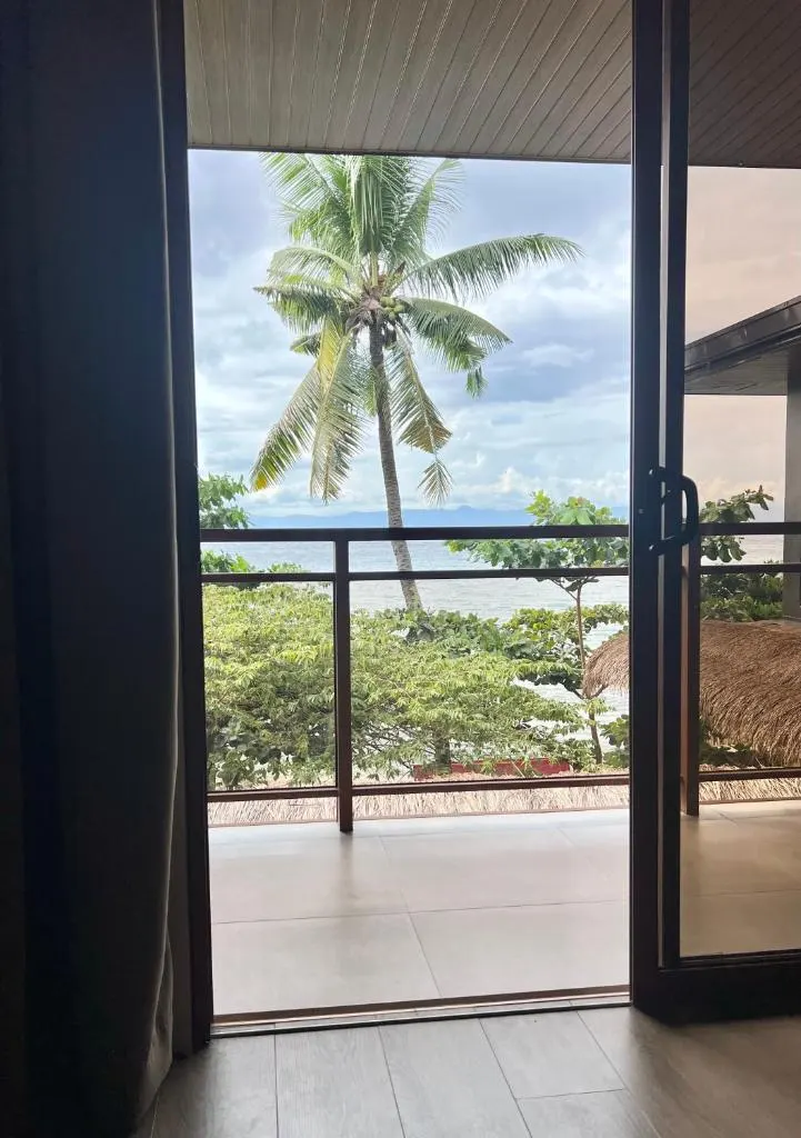 Glass door opening to a balcony and palm tree